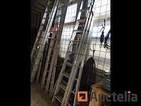 Drievoudige schaal, dubbele schaal - afbeelding 8 van  9