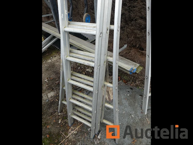 Drievoudige schaal - afbeelding 3 van  3