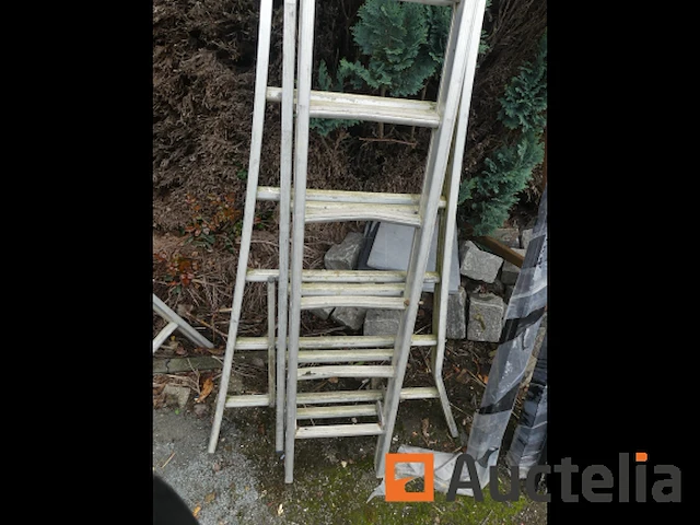 Drievoudige schaal - afbeelding 2 van  2