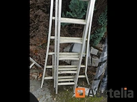 Drievoudige schaal - afbeelding 2 van  2