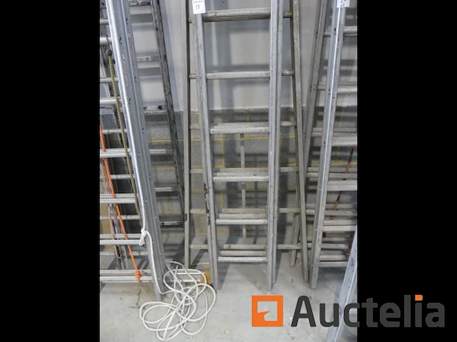 Drievoudige schaal - afbeelding 2 van  3