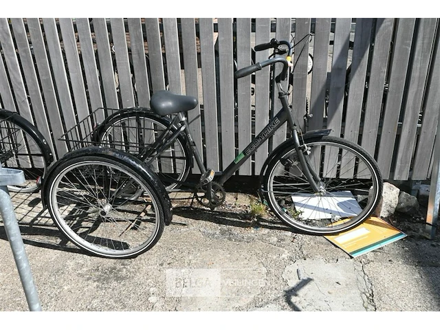 Driewieler eco-trike - afbeelding 1 van  5