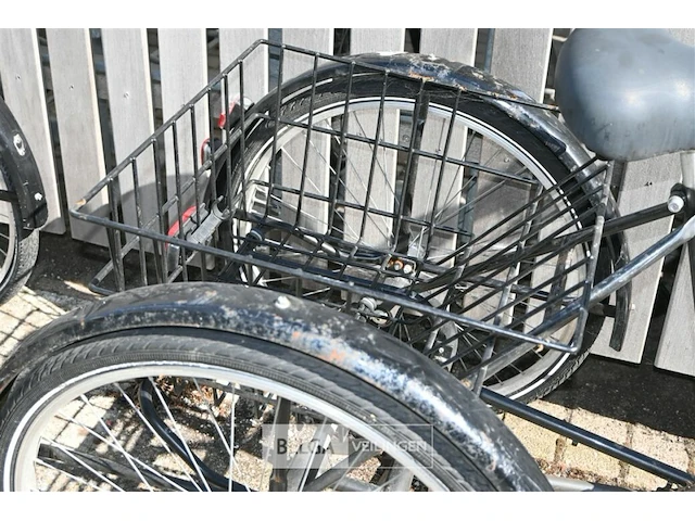 Driewieler eco-trike - afbeelding 3 van  5