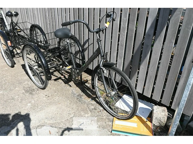Driewieler eco-trike - afbeelding 4 van  5