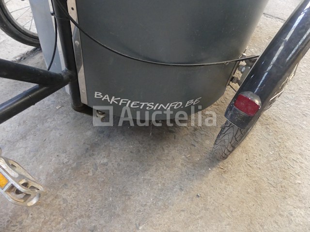 Driewielige fiets - afbeelding 2 van  7