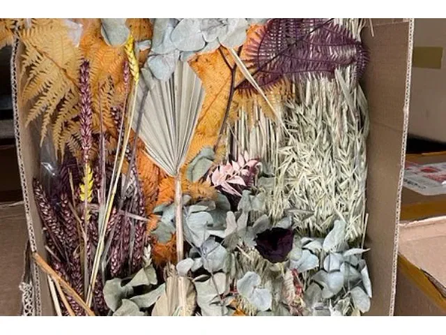 Droogbloemen - afbeelding 3 van  5