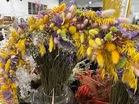 Droogbloem/vazen