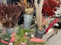 Droogbloem/vazen - afbeelding 3 van  7