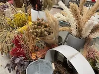 Droogbloem/vazen - afbeelding 4 van  7