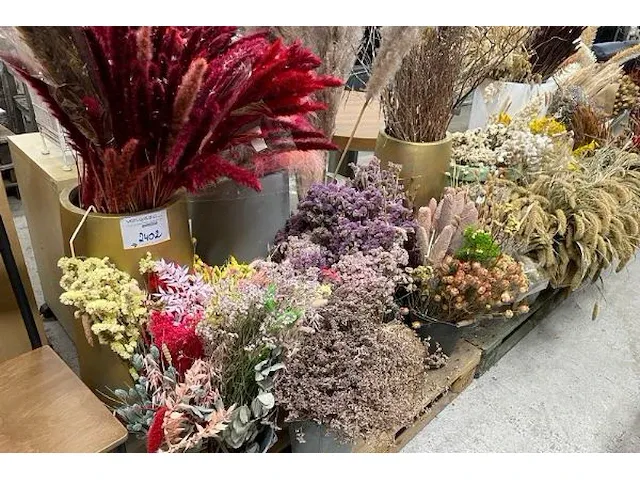 Droogbloem/vazen - afbeelding 6 van  7