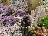 Droogbloem/vazen - afbeelding 7 van  7