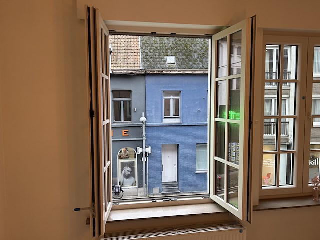 Dubbel opendraaiend pvc raam met onderverdeling - afbeelding 3 van  7