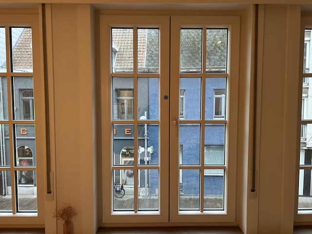 Dubbel opendraaiend pvc raam met onderverdeling - afbeelding 1 van  7