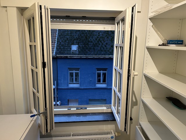 Dubbel opendraaiende pvc raam beige (dubbel glas) - afbeelding 2 van  4