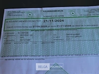 Dubbelas aanhangwagen geremd - afbeelding 9 van  14