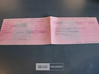 Dubbelas aanhangwagen geremd - afbeelding 10 van  14