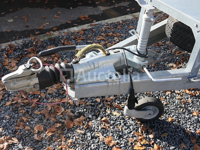 Dubbelassige aanhangwagen dragende machine met laadklep ifor williams 2hb (vin:sckd00000n0805155) - afbeelding 19 van  22