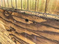 Dubbele houten poort 288x210 - afbeelding 6 van  6