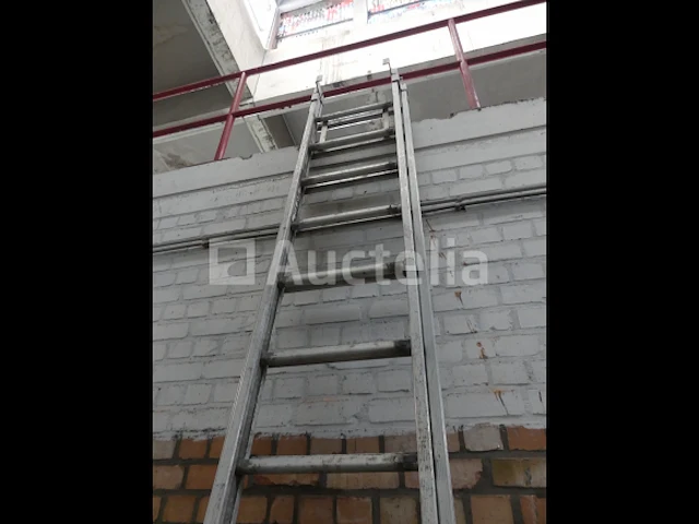 Dubbele schaal - afbeelding 2 van  3