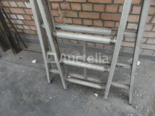 Dubbele schaal - afbeelding 3 van  3