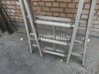 Dubbele schaal - afbeelding 3 van  3