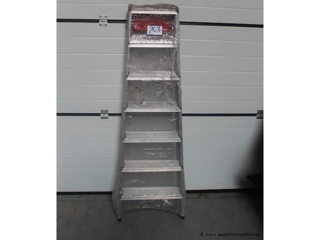 Dubbele sportladder hallo - afbeelding 1 van  2