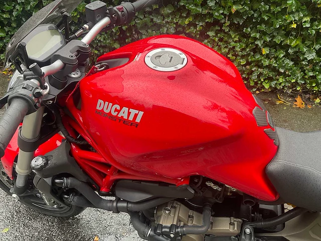 Ducati - monster 821 - motorfiets - afbeelding 11 van  13