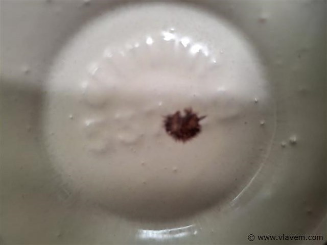 Duitse vaas - afbeelding 2 van  2