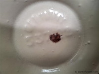 Duitse vaas - afbeelding 2 van  2