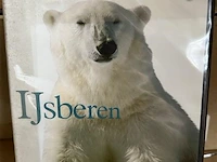 Dvd's - afbeelding 1 van  3