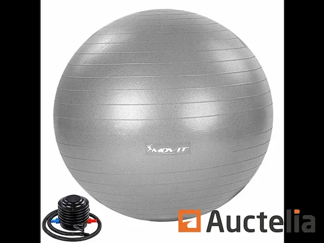 Dynamic ball gym ball met pomp - afbeelding 1 van  3