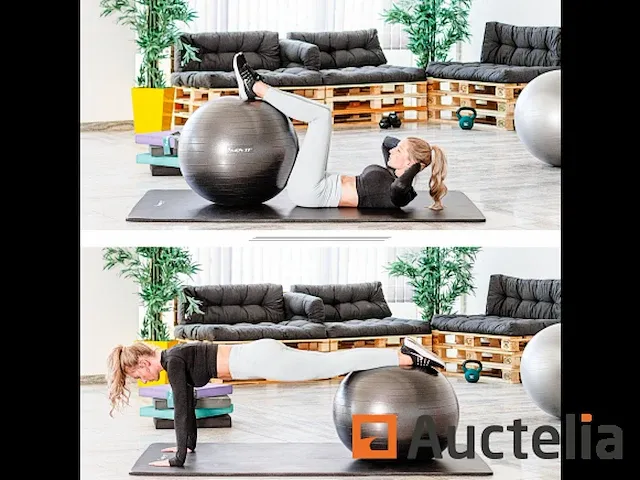 Dynamic ball gym ball met pomp - afbeelding 3 van  3