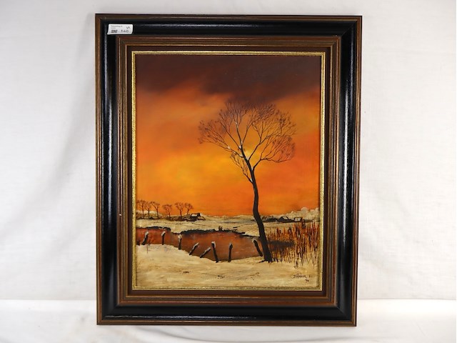 E d'hoker '90 landschap - afbeelding 1 van  5