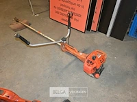 Echo bosmaaier - afbeelding 1 van  4
