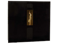 Ecoforest miami - glass zwart - pelletkachel - afbeelding 1 van  3