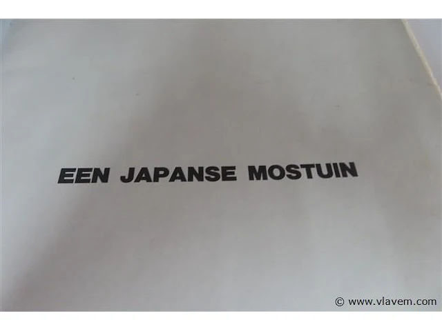 Een japanse mostuin - afbeelding 3 van  8