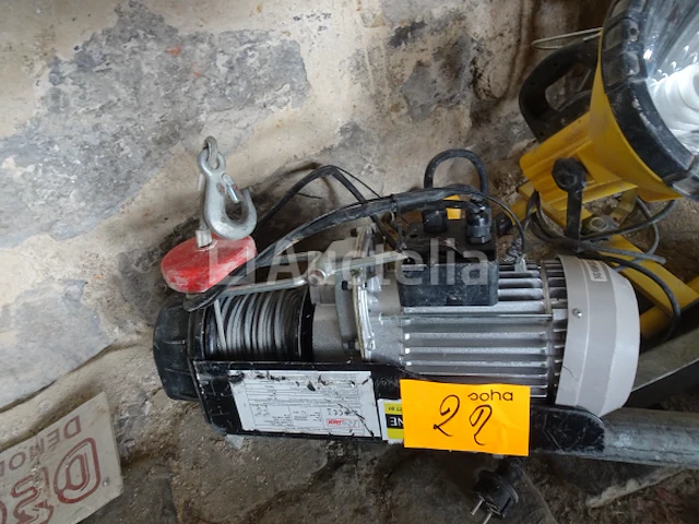 Een ribitech lier - afbeelding 2 van  3