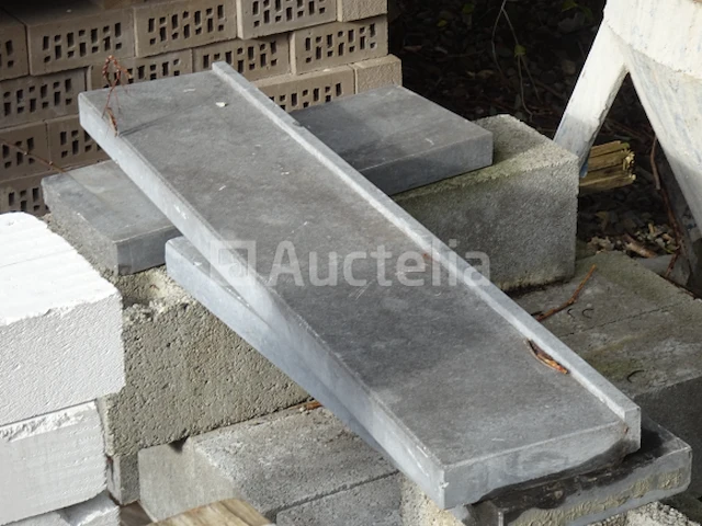 Een set van +- 23 platen in blauwe steen van 1m bij 1m - afbeelding 4 van  6