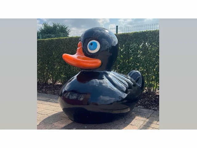 Eend zwart/ duck black h110cm - afbeelding 1 van  1
