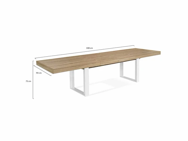 Eettafel 200-300 cm - uitschuifbaar - afbeelding 8 van  10