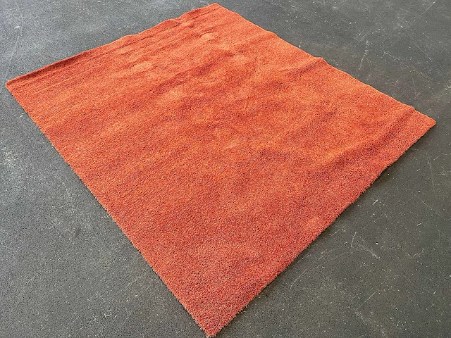 Ege - vloertapijt - carpet - afbeelding 1 van  7