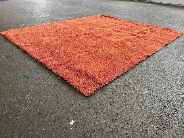 Ege - vloertapijt - carpet - afbeelding 2 van  7
