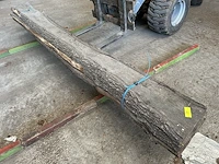 Eik stam - lengtes +/- 3800mm - afbeelding 4 van  4