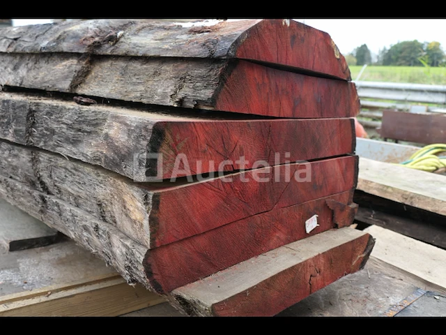 Eiken bal - afbeelding 3 van  5