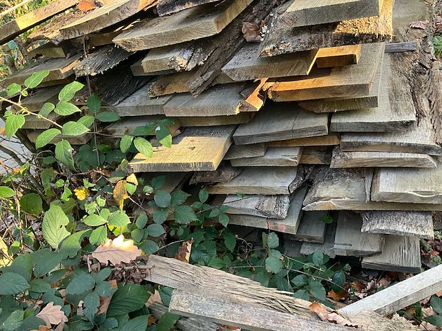 Eiken hout zagerij schroot - afbeelding 4 van  4