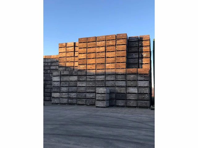 Eiken paloxen (50x) - afbeelding 2 van  4