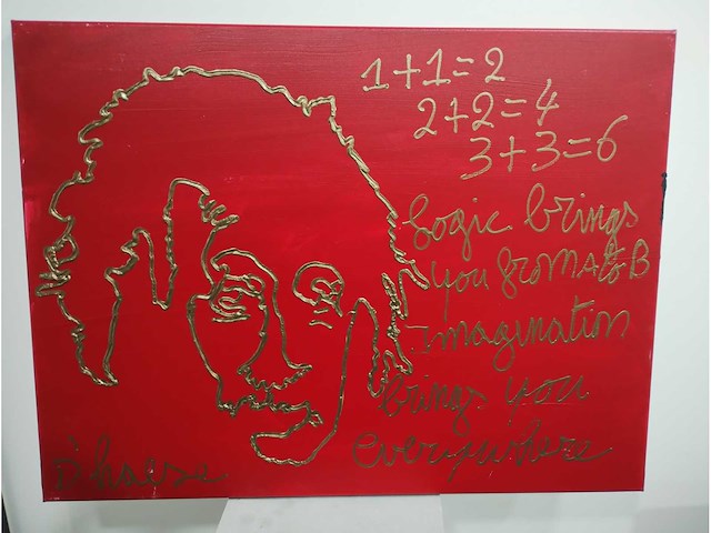 Einstein by hannes d'haese - afbeelding 1 van  2