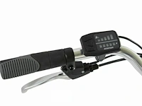 Electrische fiets - afbeelding 10 van  10
