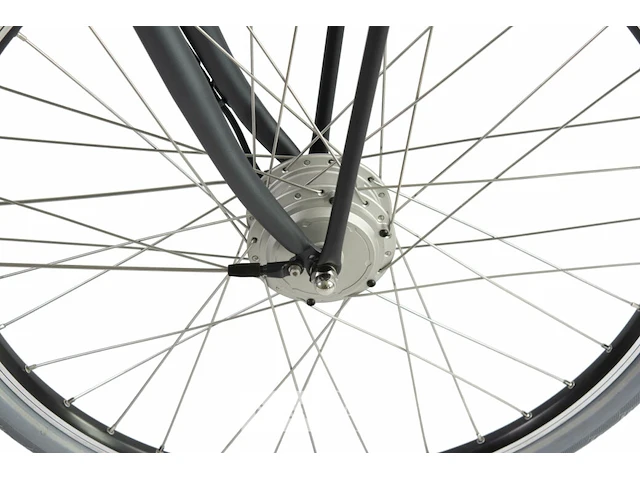 Electrische fiets - afbeelding 5 van  10
