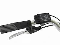 Electrische fiets - afbeelding 10 van  10